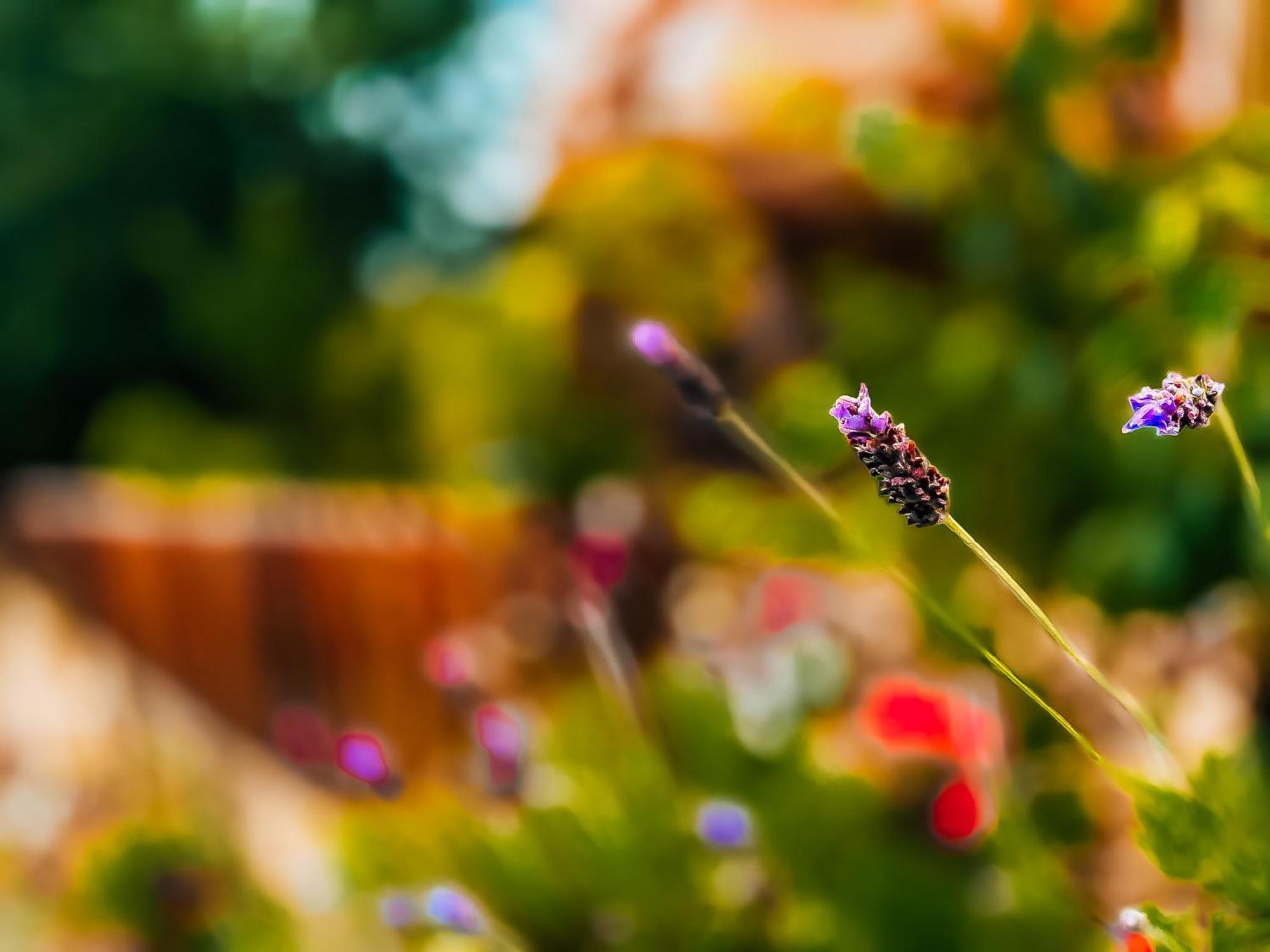 Pousada Bella Giornata กังโปสดูจอร์เดา ภายนอก รูปภาพ